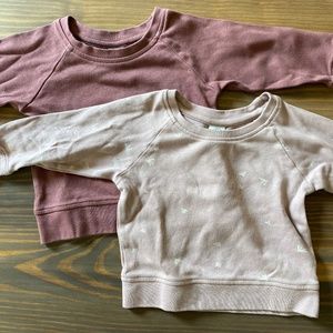 Colored Organics Classic Portland Pullovers